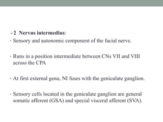 2 Nervus intermedius:
• Sensory and autonomic component of the facial nerve.
• Runs in a position intermediate between CNs VII and VIII
across the CPA
• At first external genu, NI fuses with the geniculate ganglion.
• Sensory cells located in the geniculate ganglion are general
somatic afferent (GSA) and special visceral afferent (SVA).
 