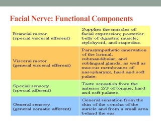 Facial Nerve: Functional Components
 