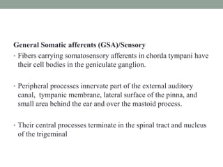 General Somatic afferents (GSA)/Sensory
• Fibers carrying somatosensory afferents in chorda tympani have
their cell bodies in the geniculate ganglion.
• Peripheral processes innervate part of the external auditory
canal, tympanic membrane, lateral surface of the pinna, and
small area behind the ear and over the mastoid process.
• Their central processes terminate in the spinal tract and nucleus
of the trigeminal
 