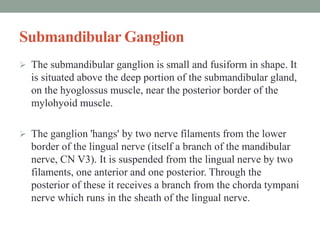 Submandibular Ganglion
 The submandibular ganglion is small and fusiform in shape. It
is situated above the deep portion of the submandibular gland,
on the hyoglossus muscle, near the posterior border of the
mylohyoid muscle.
 The ganglion 'hangs' by two nerve filaments from the lower
border of the lingual nerve (itself a branch of the mandibular
nerve, CN V3). It is suspended from the lingual nerve by two
filaments, one anterior and one posterior. Through the
posterior of these it receives a branch from the chorda tympani
nerve which runs in the sheath of the lingual nerve.
 