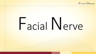 Facial Nerve
 