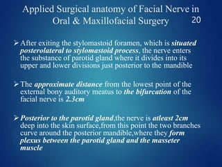 facialnerve-161104185045.pptx