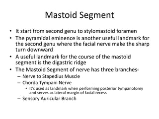 Mastoid Segment
• It start from second genu to stylomastoid foramen
• The pyramidal eminence is another useful landmark for
the second genu where the facial nerve make the sharp
turn downward
• A useful landmark for the course of the mastoid
segment is the digastric ridge
• The Mastoid Segment of nerve has three branches-
– Nerve to Stapedius Muscle
– Chorda Tympani Nerve
• It’s used as landmark when performing posterior tympanotomy
and serves as lateral margin of facial recess
– Sensory Auricular Branch
 