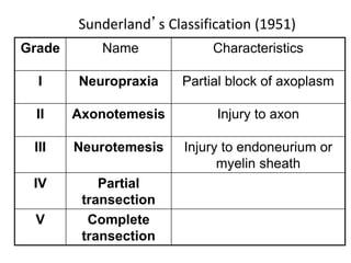 Grade Name Characteristics
I Neuropraxia Partial block of axoplasm
II Axonotemesis Injury to axon
III Neurotemesis Injury to endoneurium or
myelin sheath
IV Partial
transection
V Complete
transection
Sunderland’s Classification (1951)
 