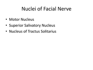 Nuclei of Facial Nerve
• Motor Nucleus
• Superior Salivatory Nucleus
• Nucleus of Tractus Solitarius
 