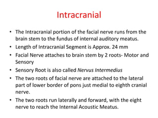 Intracranial
• The Intracranial portion of the facial nerve runs from the
brain stem to the fundus of internal auditory meatus.
• Length of Intracranial Segment is Approx. 24 mm
• Facial Nerve attaches to brain stem by 2 roots- Motor and
Sensory
• Sensory Root is also called Nervus Intermedius
• The two roots of facial nerve are attached to the lateral
part of lower border of pons just medial to eighth cranial
nerve.
• The two roots run laterally and forward, with the eight
nerve to reach the Internal Acoustic Meatus.
 
