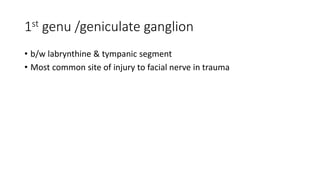 1st genu /geniculate ganglion
• b/w labrynthine & tympanic segment
• Most common site of injury to facial nerve in trauma
 