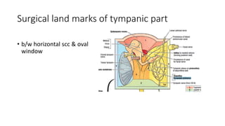Surgical land marks of tympanic part
• b/w horizontal scc & oval
window
 