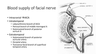 Blood supply of facial nerve
• Intracranial AICA
• Intratemporal
• Labyrynthinine branch of AICA
• Petrosal branch of middle meningeal A
• Stylomastoid branch of posterior
auriculr A
• Extratemporal
• Stylomastoid branch of posterior
auricular artery
• Occipital artery
• Transverse facial branch of superficial
temporal artery
 