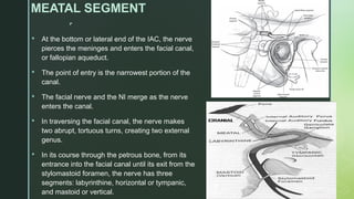 
MEATAL SEGMENT
 At the bottom or lateral end of the IAC, the nerve
pierces the meninges and enters the facial canal,
or fallopian aqueduct.
 The point of entry is the narrowest portion of the
canal.
 The facial nerve and the NI merge as the nerve
enters the canal.
 In traversing the facial canal, the nerve makes
two abrupt, tortuous turns, creating two external
genus.
 In its course through the petrous bone, from its
entrance into the facial canal until its exit from the
stylomastoid foramen, the nerve has three
segments: labyrinthine, horizontal or tympanic,
and mastoid or vertical.
 