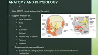 
ANATOMY AND PHYSIOLOGY
 It is a MIXED nerve, predominantly motor.
 Supplies muscles of
 Facial expression
 Scalp
 Ear
 Buccinator
 Stylohoid
 Posterior belly of digastric
 Platysma
 Stapedius
 Parasympathetic secretory fibres to
 Submandibular, sublingual glands, lacrimal gland, mucous membranes of oral and
nasal cavities
 