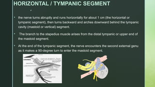 
HORIZONTAL / TYMPANIC SEGMENT
 the nerve turns abruptly and runs horizontally for about 1 cm (the horizontal or
tympanic segment), then turns backward and arches downward behind the tympanic
cavity (mastoid or vertical) segment.
 The branch to the stapedius muscle arises from the distal tympanic or upper end of
the mastoid segment.
 At the end of the tympanic segment, the nerve encounters the second external genu
as it makes a 90-degree turn to enter the mastoid segment.
 