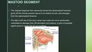 
MASTOID SEGMENT
 The mastoid segment then descends toward the stylomastoid foramen,
gives off the chorda tympani about 6 mm before its exit, and emerges
from the stylomastoid foramen.
 The tight confi nes of the bony canal may make the nerve particularly
vulnerable to damage from infl ammation and edema, a point of possible
signifi cance in some CN VII neuropathies
 