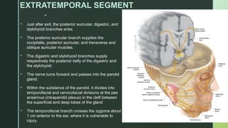 
EXTRATEMPORAL SEGMENT
 Just after exit, the posterior auricular, digastric, and
stylohyoid branches arise.
 The posterior auricular branch supplies the
occipitalis, posterior auricular, and transverse and
oblique auricular muscles.
 The digastric and stylohyoid branches supply
respectively the posterior belly of the digastric and
the stylohyoid.
 The nerve turns forward and passes into the parotid
gland.
 Within the substance of the parotid, it divides into
temporofacial and cervicofacial divisions at the pes
anserinus (intraparotid plexus) in the cleft between
the superficial and deep lobes of the gland
 The temporofacial branch crosses the zygoma about
1 cm anterior to the ear, where it is vulnerable to
injury.
 