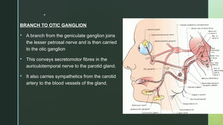 
BRANCH TO OTIC GANGLION
 A branch from the geniculate ganglion joins
the lesser petrosal nerve and is then carried
to the otic ganglion
 This conveys secretomotor fibres in the
auriculotemporal nerve to the parotid gland.
 It also carries sympathetics from the carotid
artery to the blood vessels of the gland.
 