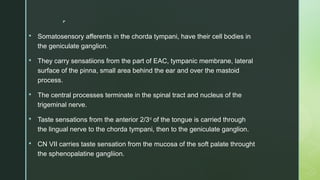 
 Somatosensory afferents in the chorda tympani, have their cell bodies in
the geniculate ganglion.
 They carry sensatiions from the part of EAC, tympanic membrane, lateral
surface of the pinna, small area behind the ear and over the mastoid
process.
 The central processes terminate in the spinal tract and nucleus of the
trigeminal nerve.
 Taste sensations from the anterior 2/3rd
of the tongue is carried through
the lingual nerve to the chorda tympani, then to the geniculate ganglion.
 CN VII carries taste sensation from the mucosa of the soft palate throught
the sphenopalatine gangliion.
 