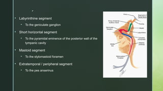 
 Labyrinthine segment
 To the geniculate ganglion
 Short horizontal segment
 To the pyramidal eminence of the posterior wall of the
tympanic cavity
 Mastoid segment
 To the stylomastoid foramen
 Extratemporal / peripheral segment
 To the pes anserinus
 
