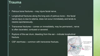 
Trauma
 Petrous bone fractures – may injure facial nerve.
 Longitudinal fractures along the long axis of petrous bone – the facial
nerve injury is due to edema, does not occur immidiately and tends to
resolve spontaneously.
 Transverse fractures – comes on immediately, may be permanent., nerve
is often lacerated, contused or severed.
 Rupture of the ear drum, bleeding from the ear – indicate longitudinal
fracture.
 CSF otorrhoea – common with transverse fractues.
 