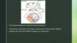 
 This scheme applies to voluntary facial movements
 Unconscious, emotional, involuntary supranuclear control follows different
pathway and may have different degrees of involvement.
 