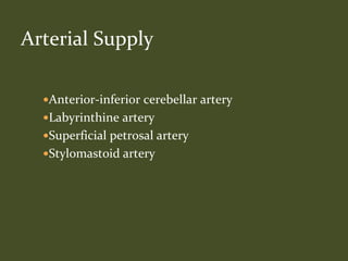 Anterior-inferior cerebellar artery
Labyrinthine artery
Superficial petrosal artery
Stylomastoid artery
Arterial Supply
 