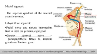 Meatal segment:
The superior quadrant of the internal
acoustic meatus.
Labyrinthine segment:
•Facial nerve and nervus intermedius
fuse to form the geniculate ganglion
•Greater petrosal nerve –
parasympathetic fibres to mucous
glands and lacrimal gland.
Facial Nerve Anatomy and Clinical Applications; Sinali O. Seneviratne; Bhupendra C. Patel; StatPearls Publishing LLC; 2020
 