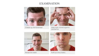 EXAMINATION
 