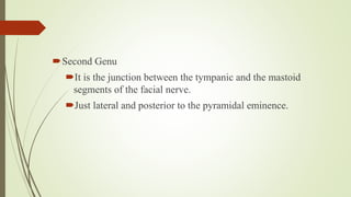 Second Genu
It is the junction between the tympanic and the mastoid
segments of the facial nerve.
Just lateral and posterior to the pyramidal eminence.
 