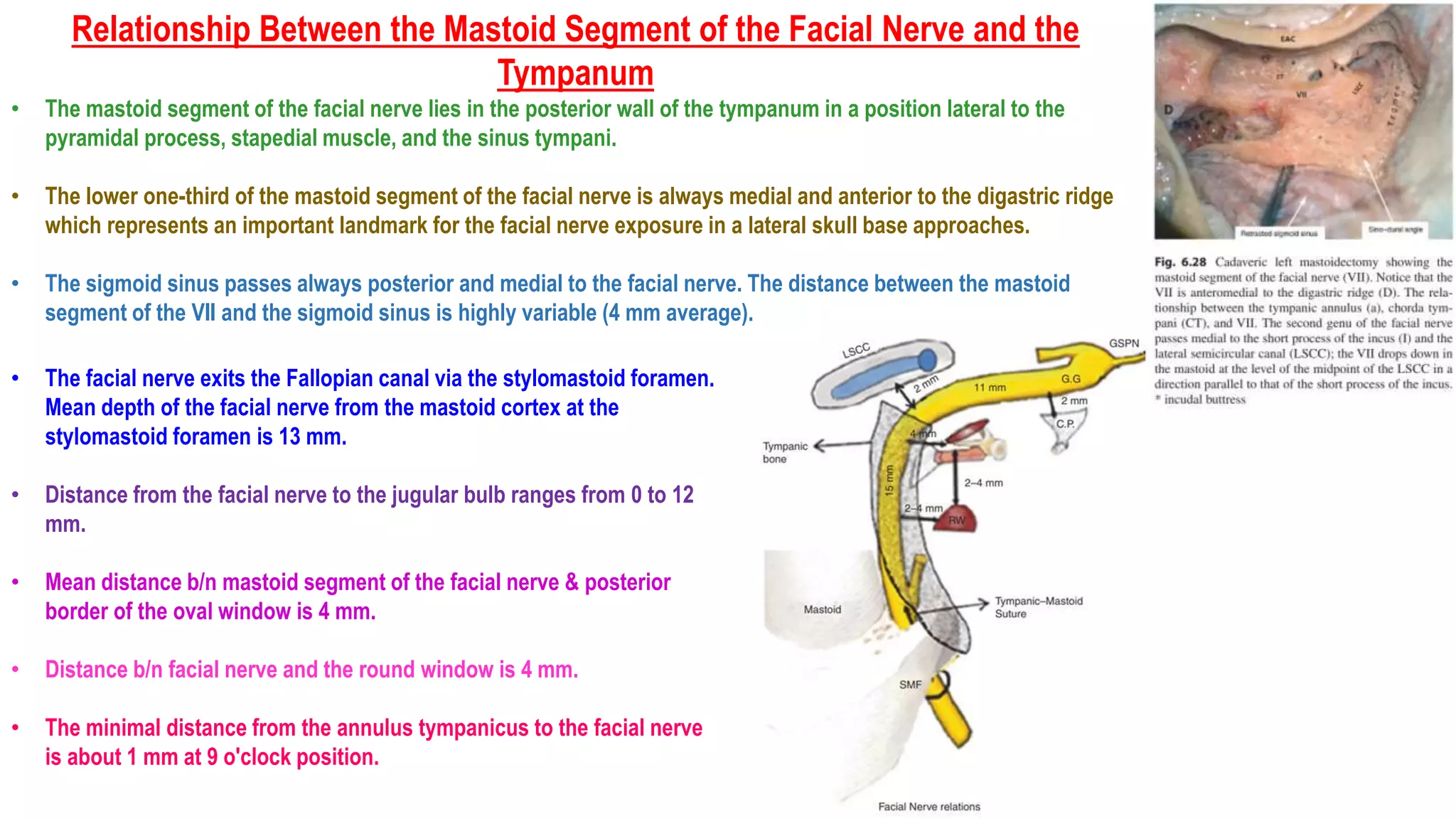 Facial nerve | PPTX