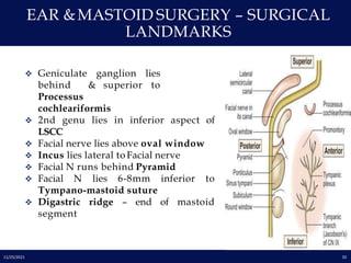 Facial nerve anatomy | PPTX