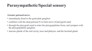 Parasympathetic/Special sensory
Greater petrosal nerve.
• immediately distal to the geniculate ganglion
• combines with the deep petrosal N to form nerve of pterygoid canal
• through the pterygoid canal to enter the pterygopalatine fossa, and synapses with
the pterygopalatine ganglion
• mucous glands of the oral cavity, nose and pharynx, and the lacrimal gland
 