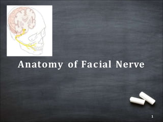 Anatomy of Facial Nerve
1
 