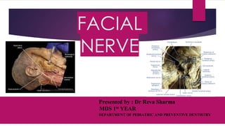 FACIAL
NERVE
Presented by : Dr Reva Sharma
MDS 1st YEAR
DEPARTMENT OF PEDIATRIC AND PREVENTIVE DENTISTRY
FN
 