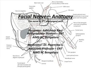 Facial Nerve – Anatomy
The nerve of 2ND pharyngeal arch
Presenter: Adhishesh Kaul
Postgraduate Student – ENT
AIMS RC, Bengaluru
Moderator: Dr. Poornima S.
Associate Professor – ENT
AIMS RC Bengaluru
 