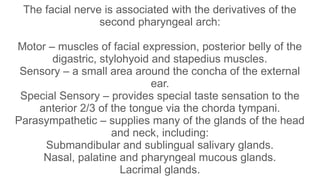 Comprehensive Overview of 7th Cranial Nerve Palsy: Anatomy, Examination ...