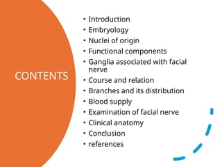Comprehensive Overview of the Facial Nerve: Anatomy, Function, and ...