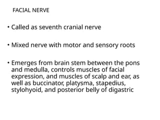 Comprehensive Overview of the Facial Nerve: Anatomy, Function, and ...