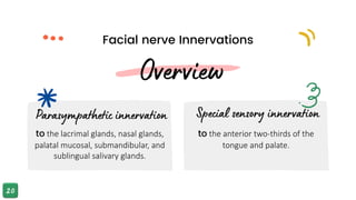 Facial nerve Innervations
to the lacrimal glands, nasal glands,
palatal mucosal, submandibular, and
sublingual salivary glands.
to the anterior two-thirds of the
tongue and palate.
 