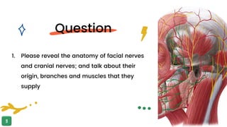 1. Please reveal the anatomy of facial nerves
and cranial nerves; and talk about their
origin, branches and muscles that they
supply
Question
 