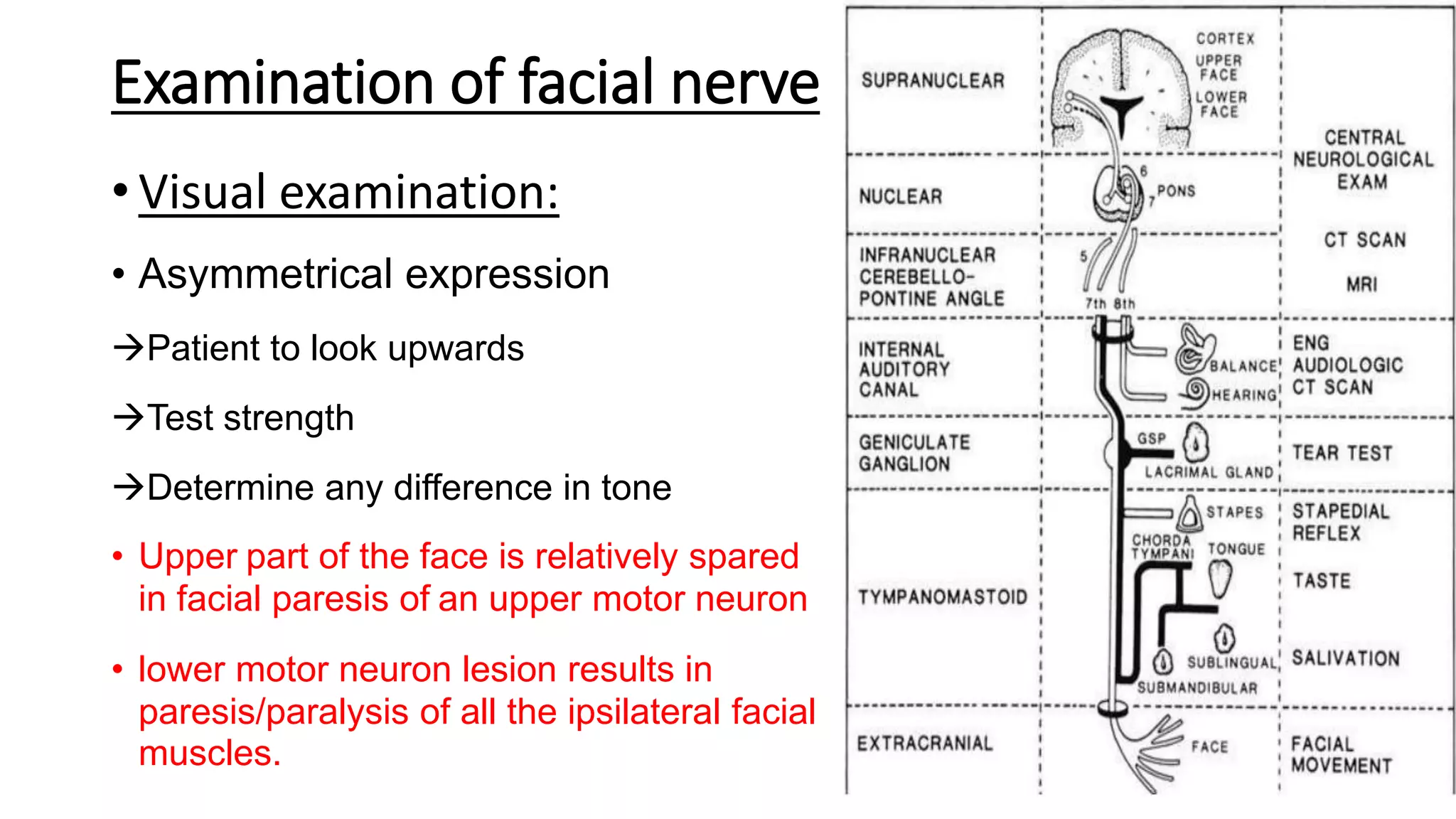 Facial nerve.pptx