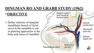 Marginal Ramus Facial nerve.pptx