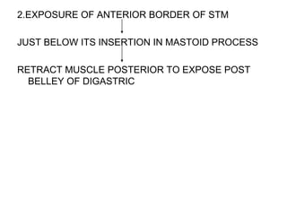 2.EXPOSURE OF ANTERIOR BORDER OF STM
JUST BELOW ITS INSERTION IN MASTOID PROCESS
RETRACT MUSCLE POSTERIOR TO EXPOSE POST
BELLEY OF DIGASTRIC
 