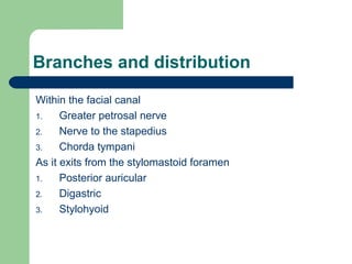 Branches and distribution
Within the facial canal
1. Greater petrosal nerve
2. Nerve to the stapedius
3. Chorda tympani
As it exits from the stylomastoid foramen
1. Posterior auricular
2. Digastric
3. Stylohyoid
 