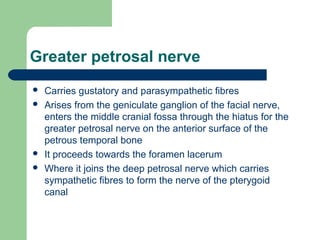 Greater petrosal nerve
 Carries gustatory and parasympathetic fibres
 Arises from the geniculate ganglion of the facial nerve,
enters the middle cranial fossa through the hiatus for the
greater petrosal nerve on the anterior surface of the
petrous temporal bone
 It proceeds towards the foramen lacerum
 Where it joins the deep petrosal nerve which carries
sympathetic fibres to form the nerve of the pterygoid
canal
 