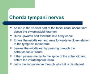 Chorda tympani nerves
 Arises in the vertical part of the facial canal about 6mm
above the stylomastoid foramen
 Runs upwards and forwards in a bony canal
 Enters the middle ear and runs forwards in close relation
to the tympanic membrane
 Leaves the middle ear by passing through the
petrotympanic fissure
 It then passes medial to the spine of the sphenoid and
enters the infratemporal fossa.
 Joins the lingual nerve through which it is distributed
 