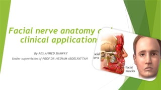 Facial nerve anatomy and clinical applications.pptx