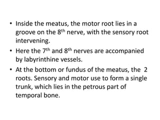 • Inside the meatus, the motor root lies in a
groove on the 8th nerve, with the sensory root
intervening.
• Here the 7th and 8th nerves are accompanied
by labyrinthine vessels.
• At the bottom or fundus of the meatus, the 2
roots. Sensory and motor use to form a single
trunk, which lies in the petrous part of
temporal bone.
 