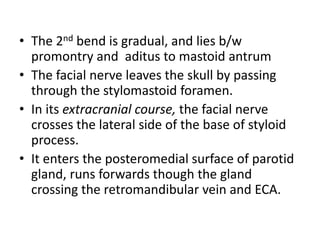 • The 2nd bend is gradual, and lies b/w
promontry and aditus to mastoid antrum
• The facial nerve leaves the skull by passing
through the stylomastoid foramen.
• In its extracranial course, the facial nerve
crosses the lateral side of the base of styloid
process.
• It enters the posteromedial surface of parotid
gland, runs forwards though the gland
crossing the retromandibular vein and ECA.
 