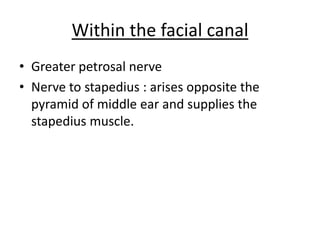 Within the facial canal
• Greater petrosal nerve
• Nerve to stapedius : arises opposite the
pyramid of middle ear and supplies the
stapedius muscle.
 