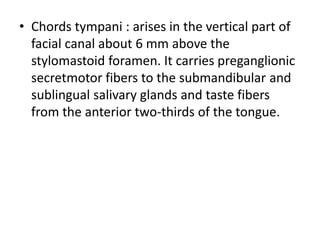• Chords tympani : arises in the vertical part of
facial canal about 6 mm above the
stylomastoid foramen. It carries preganglionic
secretmotor fibers to the submandibular and
sublingual salivary glands and taste fibers
from the anterior two-thirds of the tongue.
 