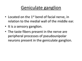 Geniculate ganglion
• Located on the 1st bend of facial nerve, in
relation to the medial wall of the middle ear.
• It is a sensory ganglion.
• The taste fibers present in the nerve are
peripheral processes of pseudounipolar
neurons present in the geniculate ganglion.
 